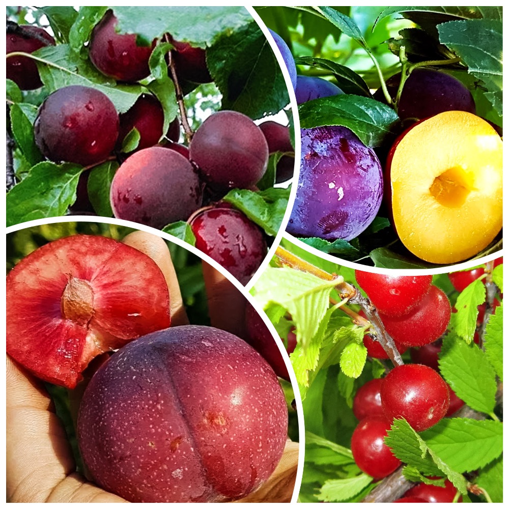 ������ ������ �����������! �������� ������������ �������� 