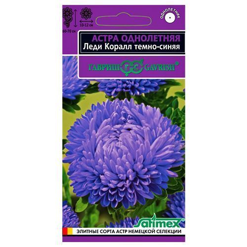 ������ ������ ����� ���� ����� �����-����� ������   ����