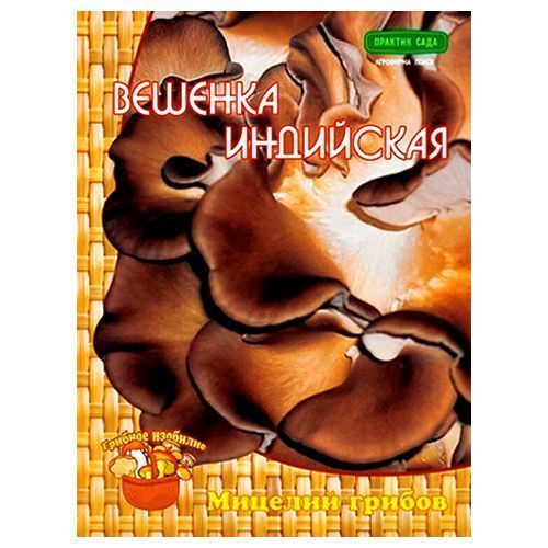 ������ ������ ������� ��������� �����   ����