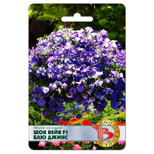 ������ ������ ������� ��������� ��� ���� F1 ��� ����� ����������   ����