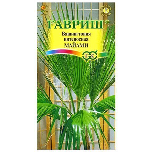 ������ ������ ����������� ������ ������   ����