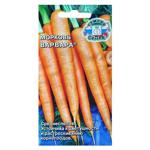 ������ ������ ������� ������� �����   ����