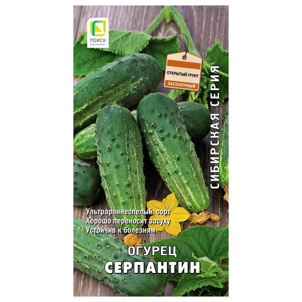 ������ ������ ������ ��������� �����   ����