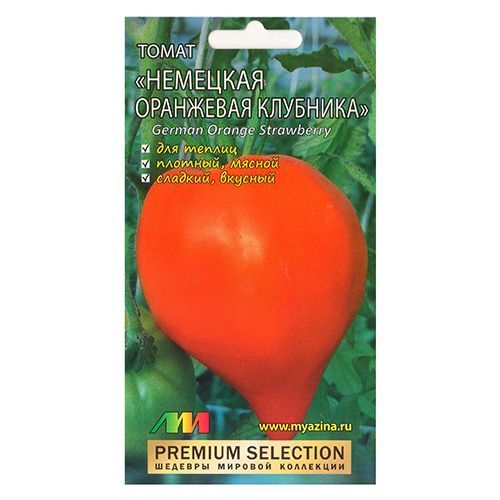 ������ ������ ����� �������� ��������� �������� ����������� ������ �.�.   ����