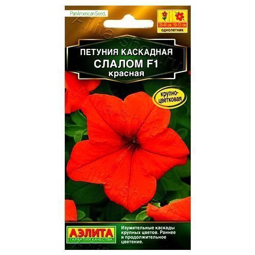 ������ ������ ������� ��������� ������ F1 ������� ������   ����