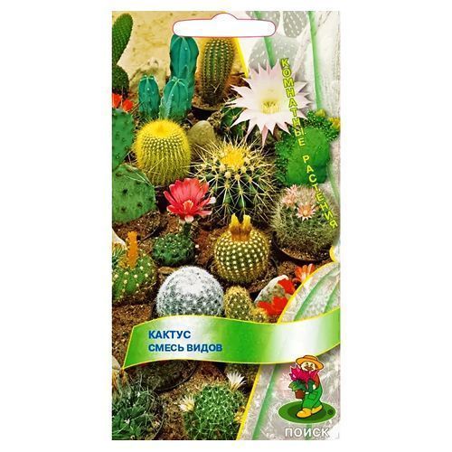 ������ ������ ������, ����� ������ �����   ����