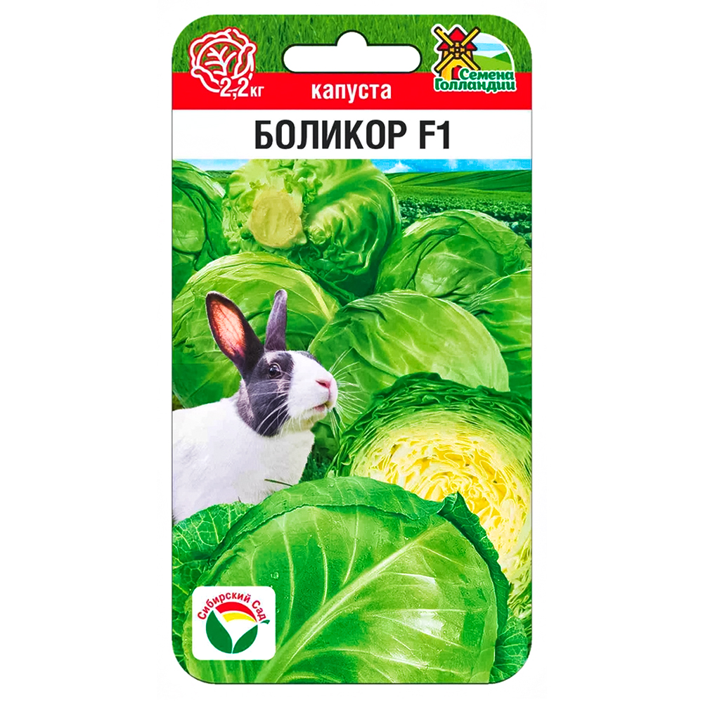 ������ ������ ������� ������������ ������� F1 ��������� ���   ����