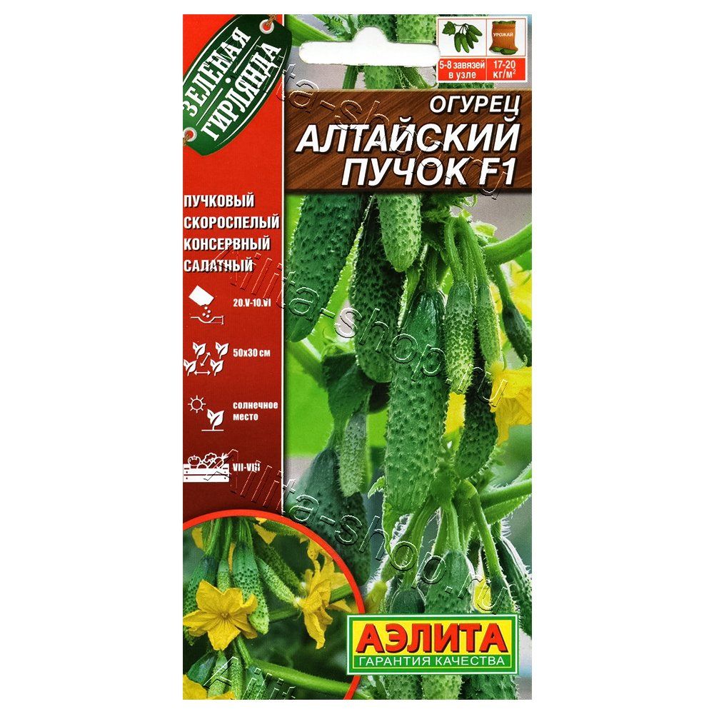 ������ ������ ������ ��������� ����� F1 ������   ����