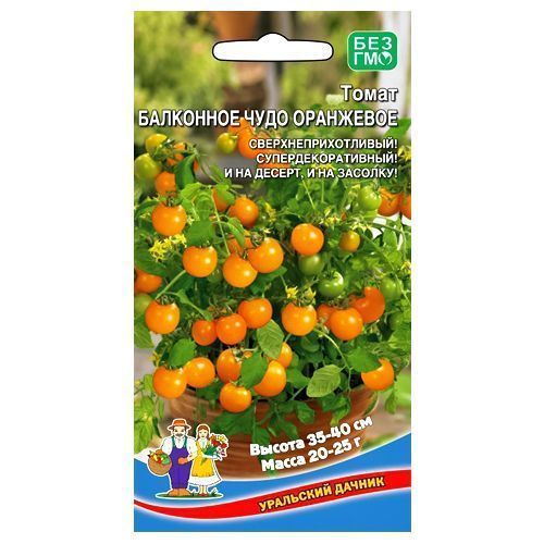 ������ ������ ����� ��������� ���� ��������� ��������� ������   ����