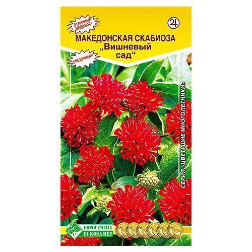 ������ ������ �������� �������� ��� ����������   ����