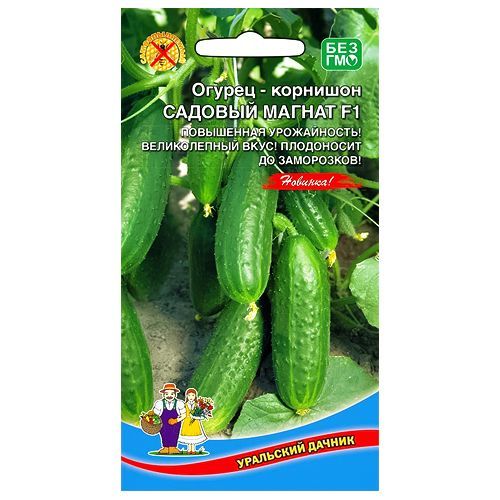 ������ ������ ������ �������� ������� ������ F1 ��������� ������   ����