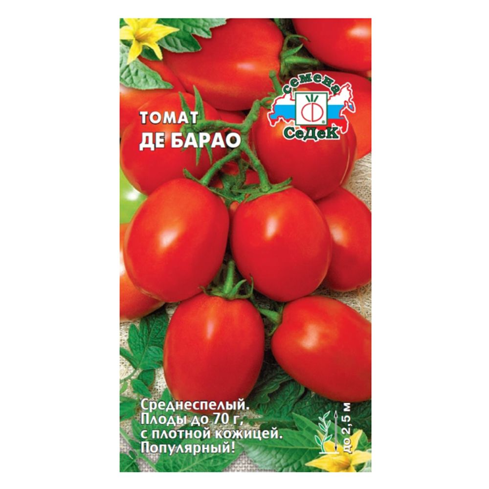 ������ ������ ����� �� ����� �����   ����