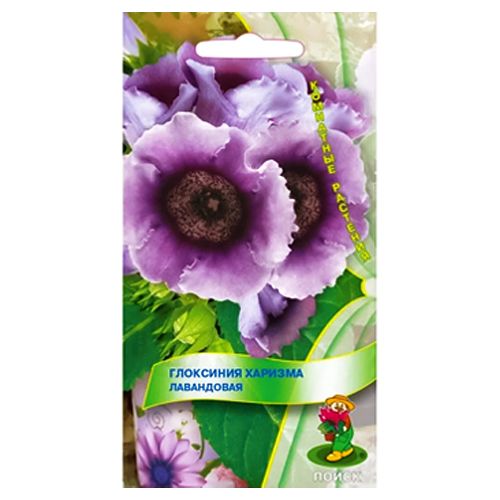 ������ ������ ��������� ������� ���������� �����   ����