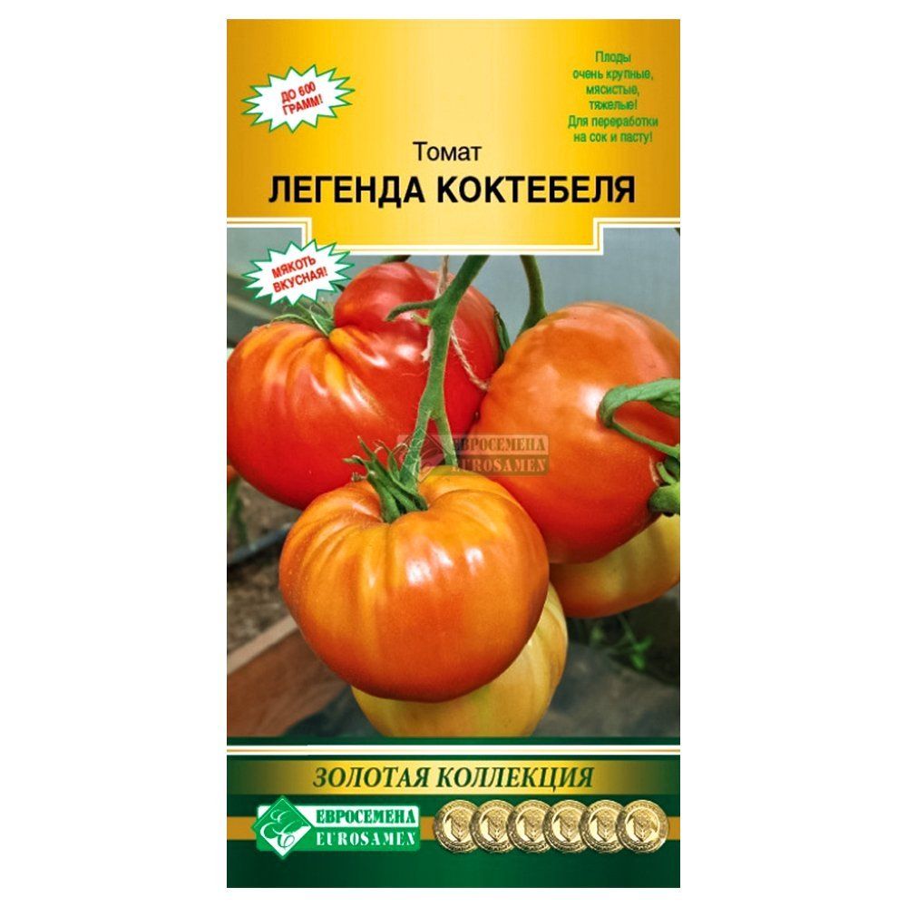 ������ ������ ����� ������� ��������� ����������   ����