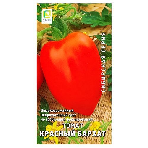 ������ ������ ����� ������� ������ �����   ����