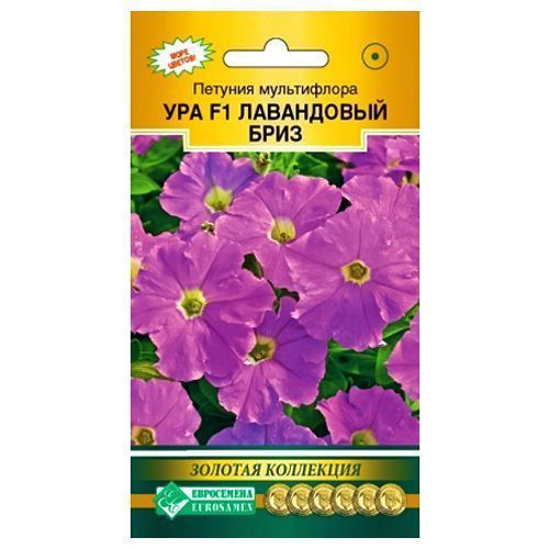 ������ ������ ������� ����������� ��� ���������� ���� F1 ����������   ����