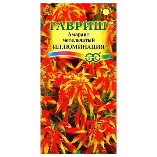 ������ ������ ������� ����������� ������   ����