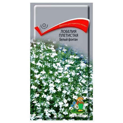 ������ ������ ������� ��������� ����� ������ �����   ����