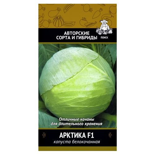 ������ ������ ������� ������������ ������� F1 �����   ����