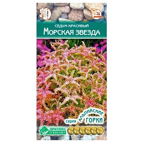 ������ ������ ����� (������) ������� ������ ����������   ����