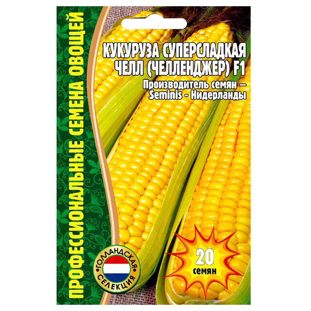 ������ ������ �������� ������������ ���� (����������) F1 ������ ������   ����