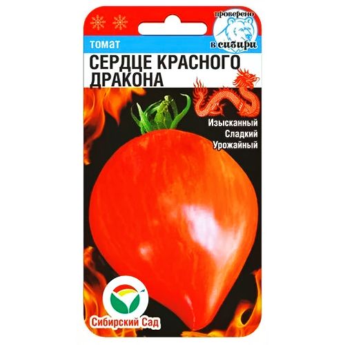 ������ ������ ����� ������ �������� ������� ��������� ���   ����