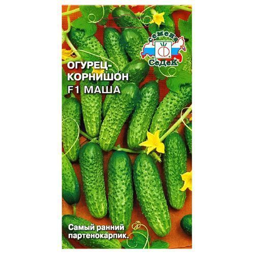 ������ ������ ������ �������� ���� F1 �����   ����