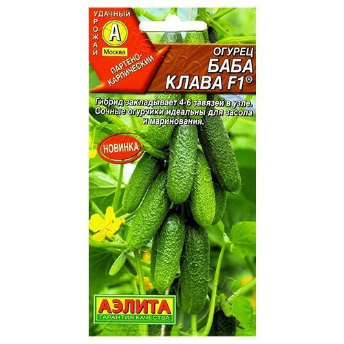 ������ ������ ������ ���� ����� F1 ������   ����