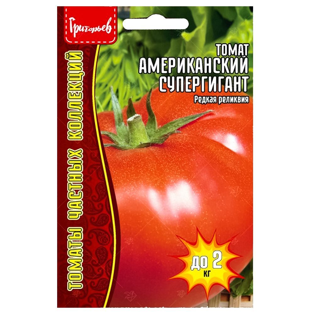 ������ ������ ����� ������������ ����������� ������ ������   ����