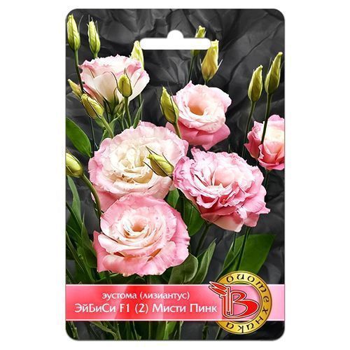 ������ ������ ������� ������ F1 ����� ���� ����������   ����