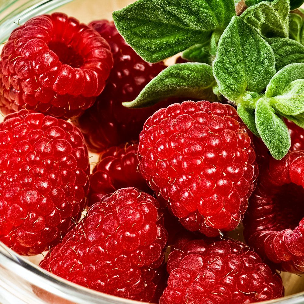 ������ ������ ������ ������������ ��� ������ ������   ����