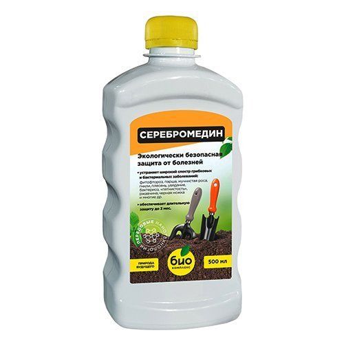 ������ ������ ���-�������� ������������, �� �������� �������� 500 ��   ����