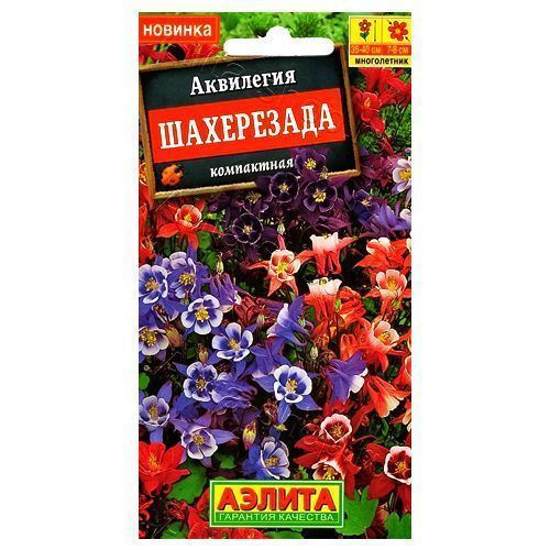 ������ ������ ��������� ����������, ����� ������� ������   ����