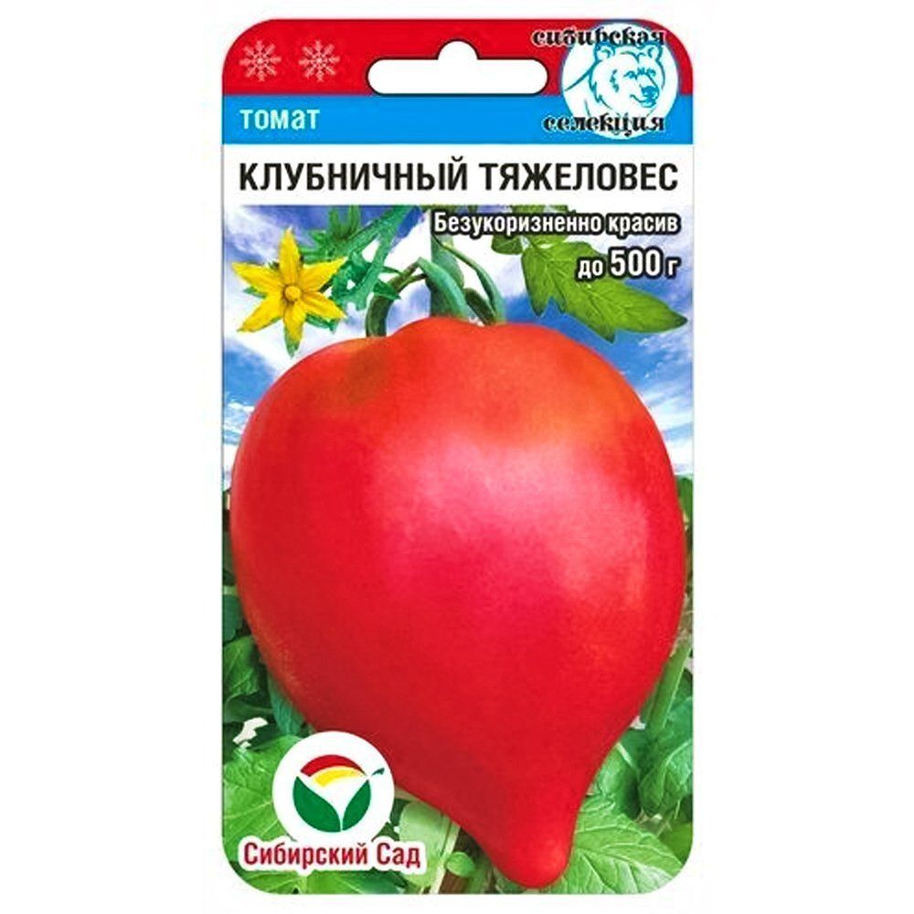 ������ ������ ����� ���������� ��������� ��������� ���   ����