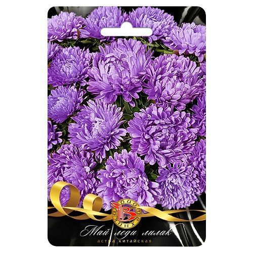 ������ ������ ����� ��������� ��� ���� ����� ����������   ����