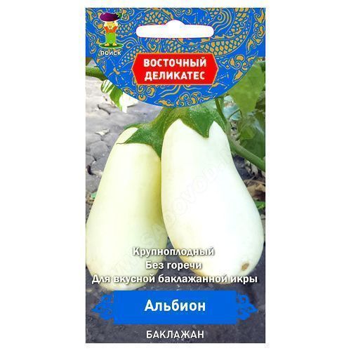 ������ ������ �������� ������� �����   ����