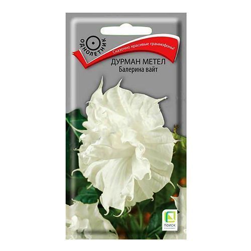 ������ ������ ������ ����� �������� ���� �����   ����