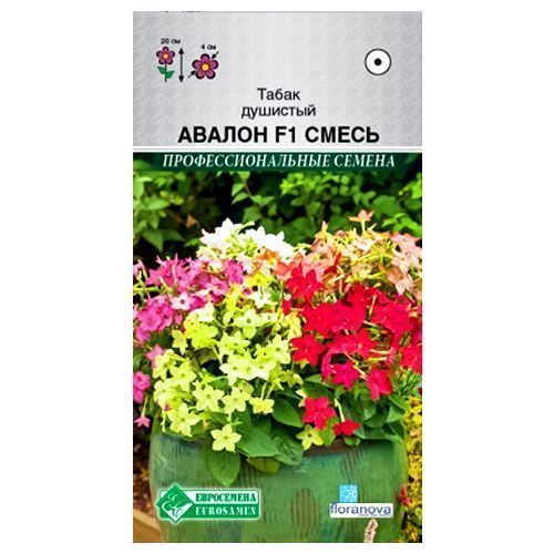 ������ ������ ����� �������� ������, ����� ������� ����������   ����