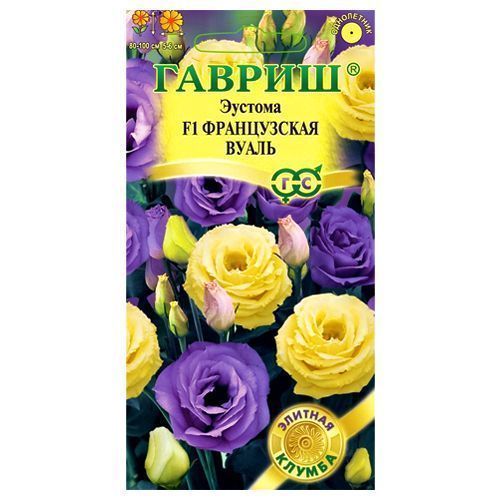 ������ ������ ������� ����������� ����� F1, ����� ������� ������   ����