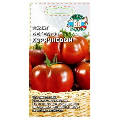 ������ ������ ����� ������� ���������� �����   ����