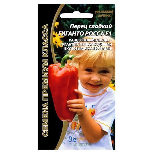 ������ ������ ����� ������� ������� ����� F1 ��������� ������   ����