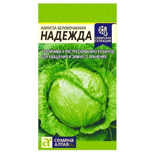 ������ ������ ������� ������������ ������� ������ �����   ����