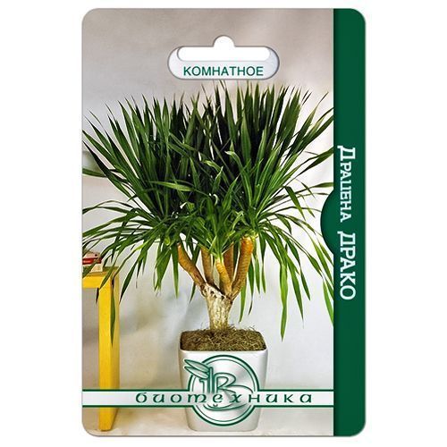 ������ ������ ������� ����� ����������   ����