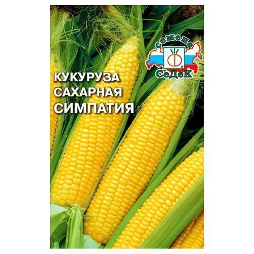 ������ ������ �������� �������� F1 �����   ����