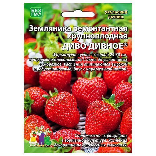 ������ ������ ��������� ������������ ���� ������ ��������� ������   ����