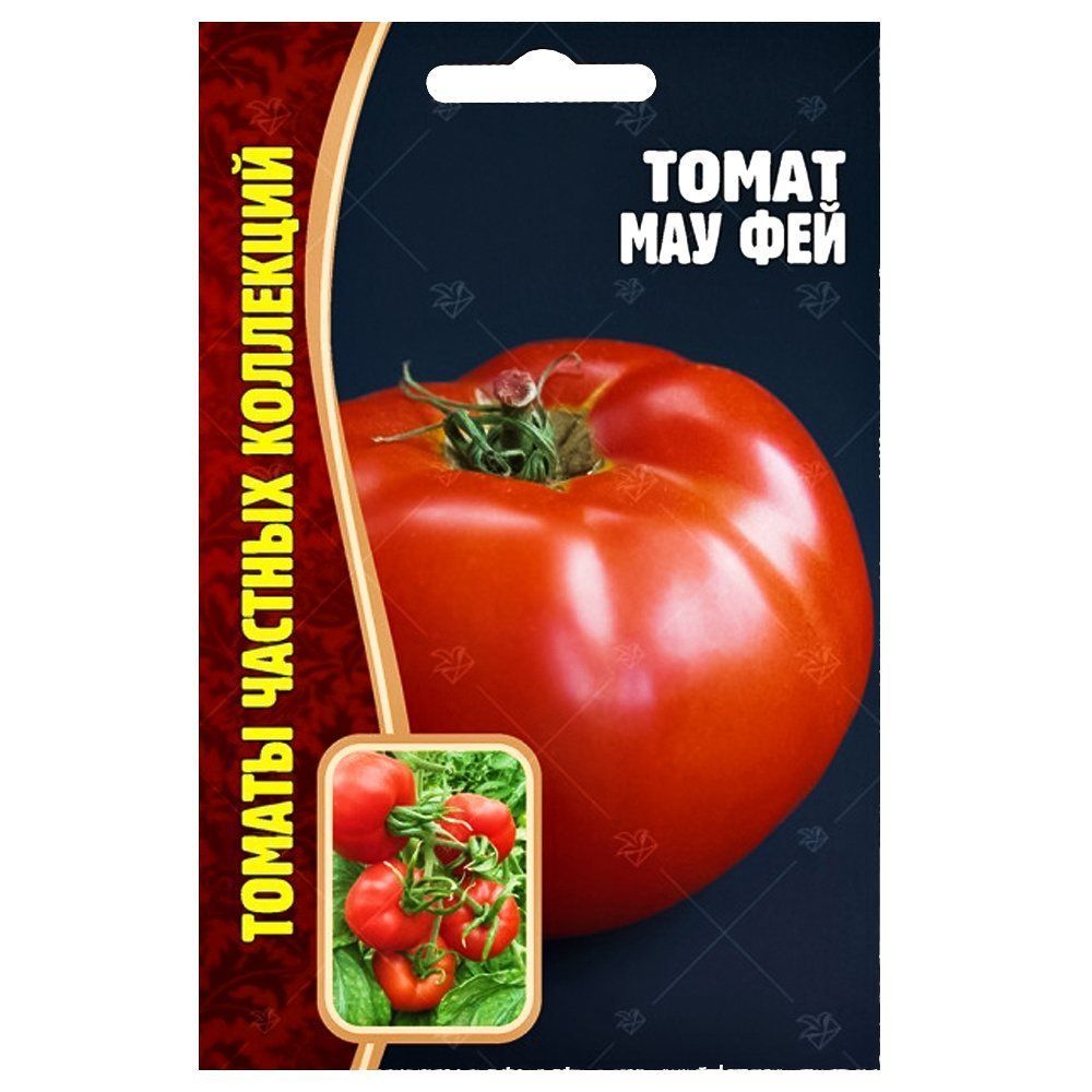 ������ ������ ����� ��� ��� ������ ������   ����