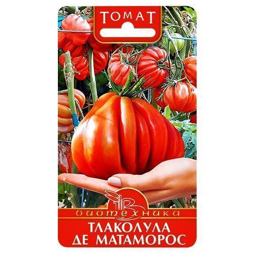 ������ ������ ����� ��������� �� ��������� ����������   ����