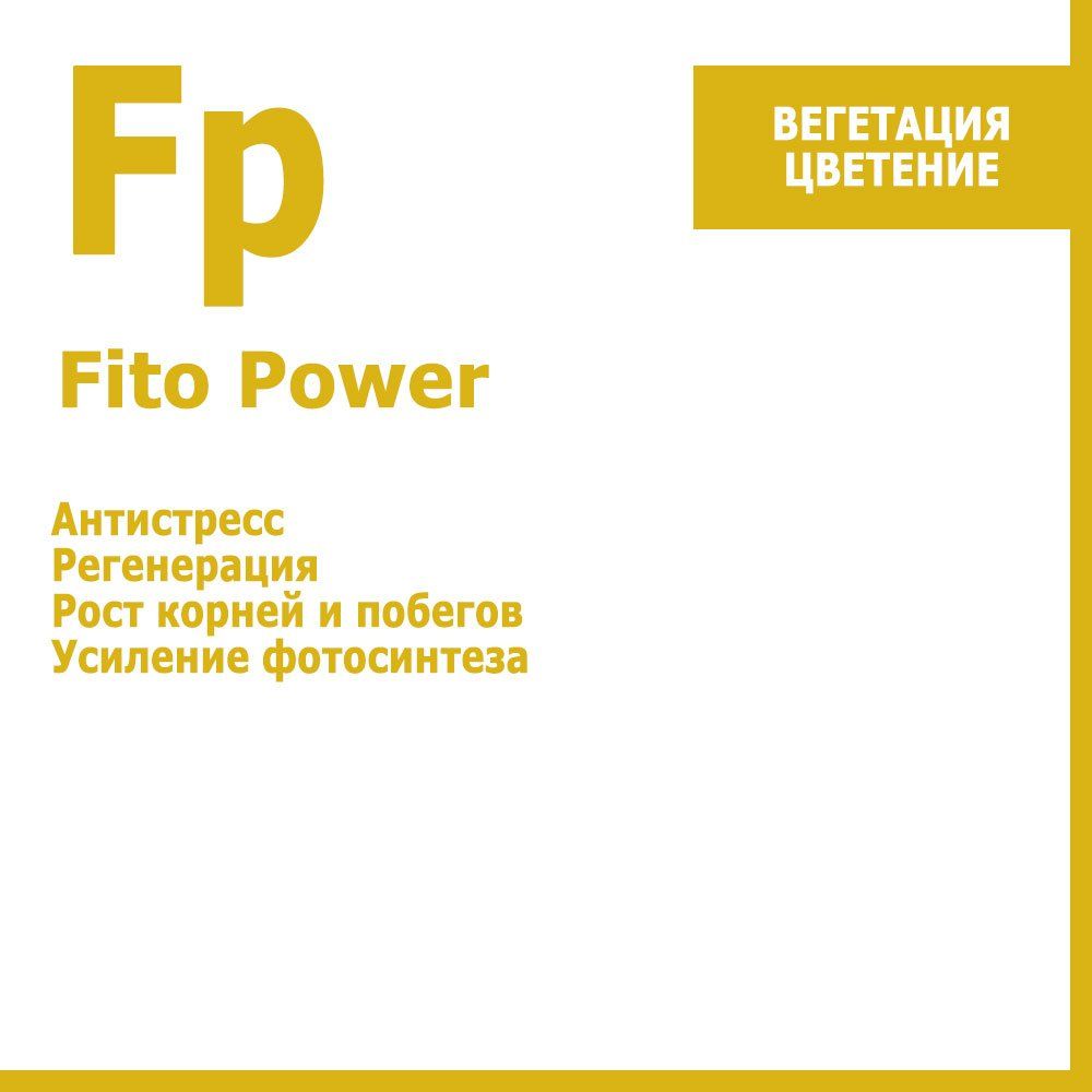 ������ ������ FitoPower, ����������� ������������� 10 ��   ����