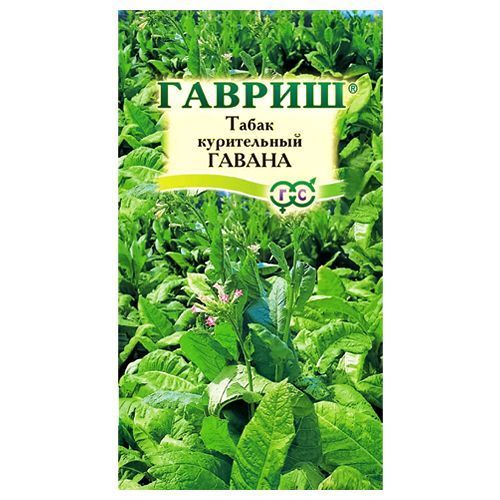 ������ ������ ����� ����������� ������ ������   ����