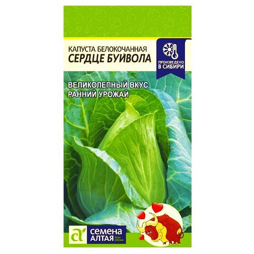 ������ ������ ������� ������������ ������ ������� ������ �����   ����